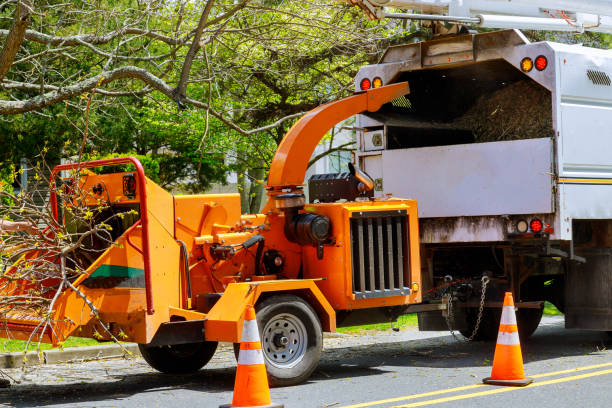 Best Commercial Tree Services  in Bridgeport, IL